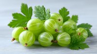 Fresh green gooseberries with leaves on white wooden background. Organic summer berries for healthy eating, cooking and natural food concepts.