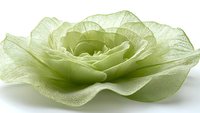Green translucent fabric flower with delicate layered petals isolated on white background for crafting, wedding decor, and fashion design projects.