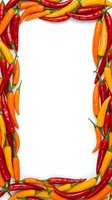Colorful hot chili peppers in red, orange, and yellow arranged as a border frame around white copy space for food, cooking, or recipe content.