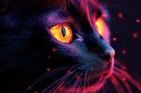 Close up of black cat with glowing orange eye against dark background with pink and purple lighting effects and heart-shaped bokeh elements.
