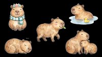 Capybara isolated on transparent background, ready for t-shirt design, clipart, stickers, sublimation and print-on-demand products. Cute rodent characters in various poses.