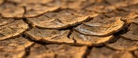 Cracked, parched earth with deep fissures shows severe drought conditions and soil degradation, suitable for environmental, climate change, and sustainability content.
