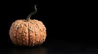 Textured orange pumpkin with curved stem isolated on black background, suitable for autumn designs, fall decorations, and seasonal marketing materials.