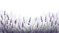Watercolor lavender field border with purple flowers and green stems on white background for aromatherapy spa wellness design projects.