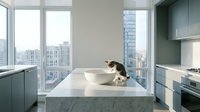 Curious kitten sitting on a marble kitchen island in a modern apartment with large windows and a city skyline view in the background.