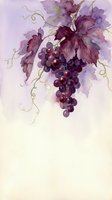 Watercolor grape cluster with purple leaves and tendrils on light background for wine labels, kitchen decor, botanical art and culinary designs.