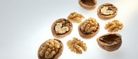 Walnuts in shells and shelled kernels scattered on white background, suitable for food, nutrition, and healthy eating content.