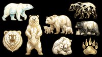 Illustrated bear collection isolated on transparent background, featuring polar, grizzly, black bears, cubs, paw print, and geometric style, ready for clipart, stickers, and t-shirt design.