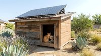 Modern eco-friendly wooden dog house with solar panel roof in desert landscape with succulents and native plants for sustainable pet shelter design.