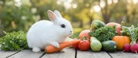 White rabbit sitting beside fresh organic vegetables on wooden surface with natural garden background for healthy eating and farm concepts.