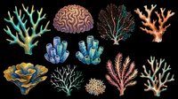 Colorful coral and sea plant collection isolated on transparent background, ready for t-shirt designs, clipart, stickers, sublimation, print-on-demand products and digital crafts.
