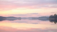 Serene lake at dawn with pink and purple sky reflecting on calm water, surrounded by bare trees along shoreline during peaceful sunrise.