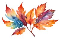 Vibrant watercolor autumn leaves in orange, blue and purple gradient colors arranged in fan composition on white background, isolated botanical illustration for seasonal design.