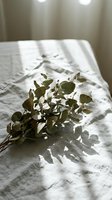 Dried eucalyptus branches on white linen bedding with natural sunlight shadows creating peaceful minimalist bedroom interior atmosphere for wellness and relaxation.