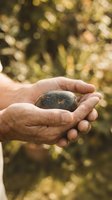 Mature hands gently holding smooth river stone in cupped palms with warm bokeh nature background for wellness and mindfulness concepts.