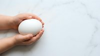 Hands holding white egg on marble surface, isolated on clean background for design and commercial use.