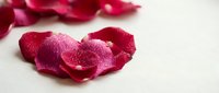 Fresh crimson rose petals with water droplets arranged on a white surface, evoking romance, love, and spa wellness themes.