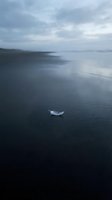 Solitary white feather floating on calm dark water with misty mountains and overcast sky, conveying themes of loss, solitude, and tranquility.