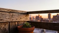 Succulent plant in terracotta pot on wooden rooftop railing with urban skyline at sunset, ideal for real estate and lifestyle content.