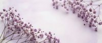 Delicate purple dried flowers on soft white background creating romantic botanical composition for wedding invitations and feminine design projects.