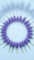 Circular wreath of purple muscari grape hyacinth flowers arranged on a soft blue background with copy space in the center.