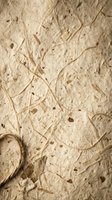 Handmade natural paper texture with organic fibers and botanical elements creating rustic artisan background for creative projects and eco-friendly designs.