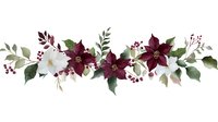Elegant burgundy and cream poinsettia floral arrangement with berries and leaves isolated on white background for holiday decorating and design projects.