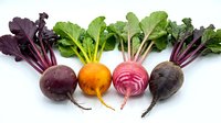Fresh organic beetroot varieties with colorful stems and leaves arranged on white background, perfect for healthy cooking and nutrition concepts.