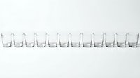 Row of empty clear glass tumblers arranged in line on white background for kitchen dining restaurant bar service commercial use.