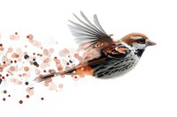 Sparrow in flight with dispersing particles effect, wings spread against white background, artistic nature illustration in brown and gray tones with bokeh elements.
