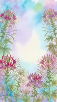 Watercolor floral frame with cleome spider flowers on pastel rainbow background for spring garden designs and botanical wedding invitations.