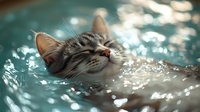 Adorable tabby kitten swimming in crystal clear turquoise water with eyes closed, enjoying peaceful aquatic experience in bright sunlight with sparkling reflections.