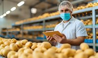 Caucasian male worker in protective mask and hat checking quality control of potatoes in storage warehouse, using digital tablet for inventory management.