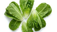 Fresh green bok choy leaves arranged in star pattern on white background, isolated Asian vegetable for healthy cooking and culinary designs.