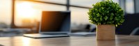 Small green plant in wooden pot on modern office desk with laptop computer in blurred background. Clean workspace setup for productivity and natural decor elements.