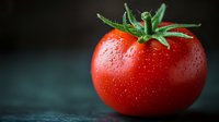 Fresh ripe tomato with water drops and green stem on dark background, macro photography for food industry and healthy eating concepts.