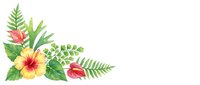 Watercolor tropical flowers and green fern leaves arranged in corner composition on white background, isolated design element for invitations, cards, and decorative projects.