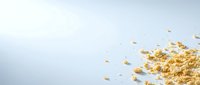 Scattered golden cereal pieces floating against white background, isolated design element suitable for food packaging, advertising, breakfast product marketing, and nutritional content layouts.