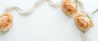 Elegant peach roses with silk ribbon on white background for wedding invitations, greeting cards and romantic design projects.