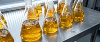 Golden amber liquid in laboratory beakers with ice cubes arranged on gray surface, suitable for scientific research, chemistry education, beverage testing, and industrial analysis projects.