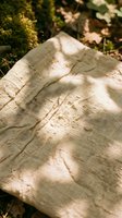 Weathered linen fabric with natural shadows and moss-covered surroundings, showcasing texture and decay for design, fashion, and artistic projects.
