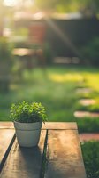 Small green plant in gray pot on wooden garden bench with soft sunlight and blurred natural background creating peaceful outdoor atmosphere.