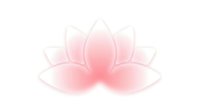 Pink lotus flower with soft gradient petals on transparent background, isolated for meditation, wellness and spiritual design projects.