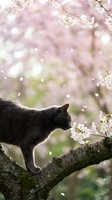 Gray tabby cat sniffing cherry blossoms on tree branch during spring bloom with soft pink bokeh background and falling petals creating peaceful scene.
