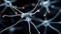 Microscopic view of neural network connections showing silver neuron cell with dendrites and axons on dark background, medical science visualization.