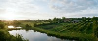 Scenic vineyard landscape with rolling hills and tranquil pond reflecting golden sunset light. Rural countryside agriculture with organized grape vine rows.