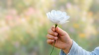 Young woman with medium skin tone holding a single white flower against a blurred garden background, suitable for concepts of nature, gift-giving, and springtime themes.