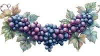 Watercolor grape vine garland with purple and blue clusters and green leaves on white background, decorative botanical border design element.