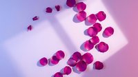 Scattered pink rose petals on soft gradient background with natural window light shadows creating romantic atmosphere for wedding invitations.