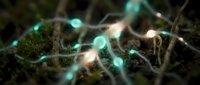 Neural network connections with glowing synapses and electrical impulses in brain tissue for medical education and neuroscience research applications.